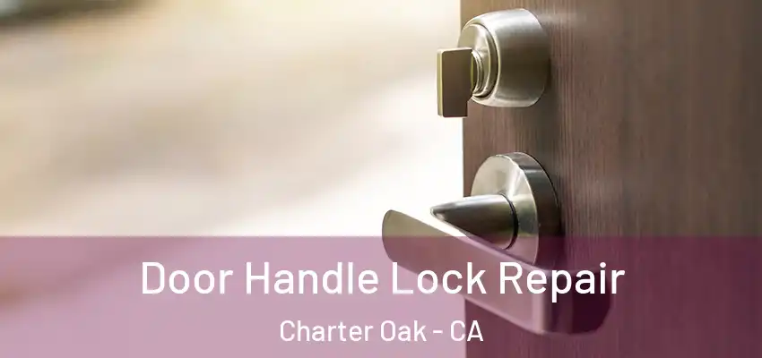  Door Handle Lock Repair Charter Oak - CA