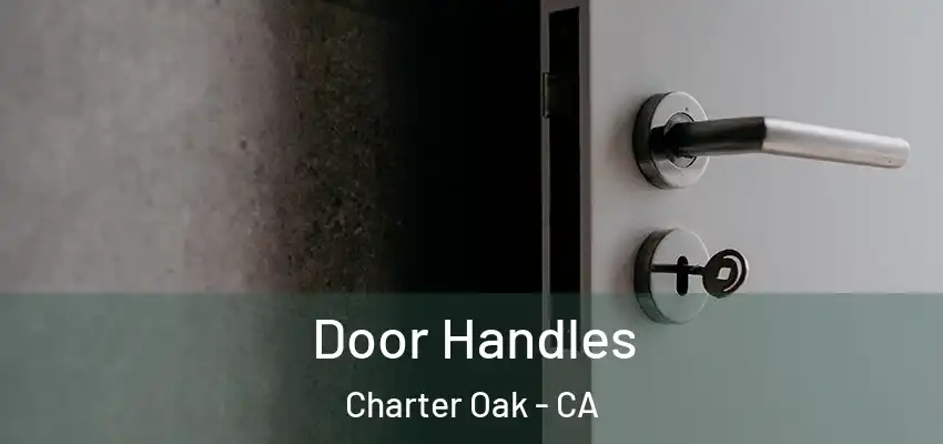  Door Handles Charter Oak - CA