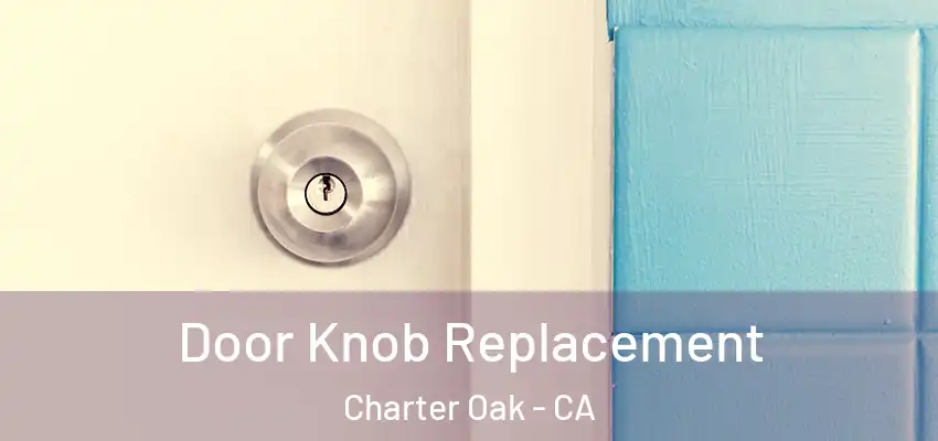  Door Knob Replacement Charter Oak - CA