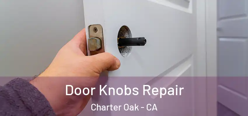  Door Knobs Repair Charter Oak - CA