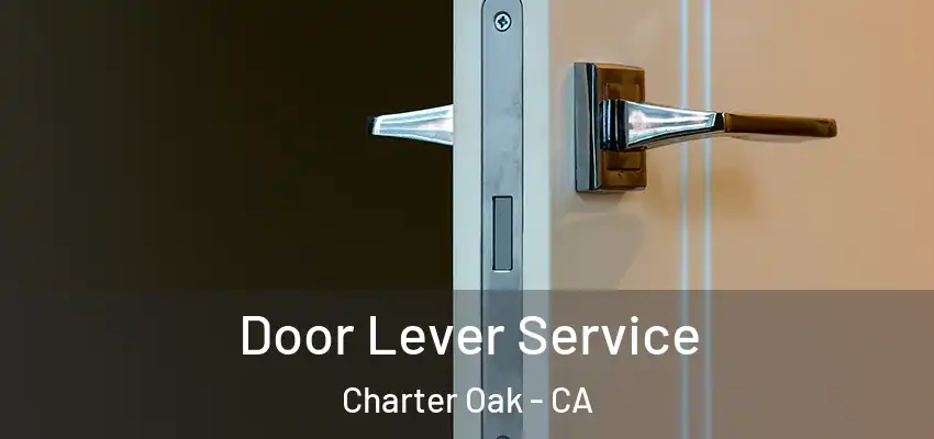  Door Lever Service Charter Oak - CA