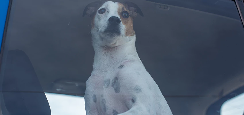 Car Lockout Solutions in Charter Oak, California